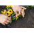 Fiskars Ножиці для обрізки квітів Solid SP14, зображення 10 в Києві, Україні
