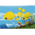 Дитячий надувний басейн Bestway 54118 (262х157х46 см), зображення 2 в Києві, Україні