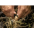Neo Tools 63-140 Браслет туристичний, для виживання, з паракорда, 5в1, шнур 3.5м, міцність 250кг, обхват 24 см, зображення 3 в Києві, Україні