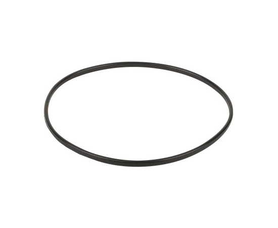 Уплотнительное кольцо к прижимному фланцу корпуса насоса Emaux SC (02011089) в Киеве, Украине