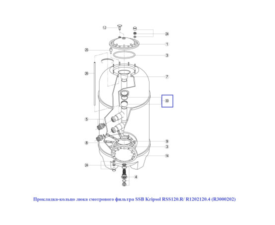 Прокладка-кольцо люка смотрового фильтра SSB Kripsol RSS120.R/ R1202120.4 (R3000202), изображение 2 в Киеве, Украине