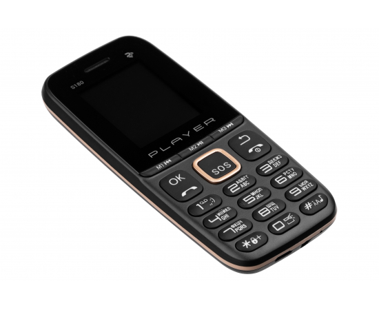 2E Мобільний телефон S180 2021 Dual SIM без ЗП Black&Gold, зображення 5 в Києві, Україні